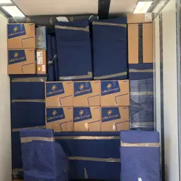 Diverse moving Solutions